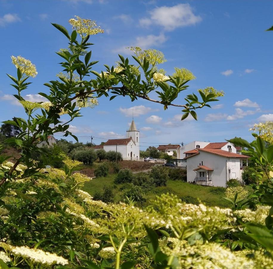Casa Da Casimira Βίλα Miranda do Corvo Εξωτερικό φωτογραφία