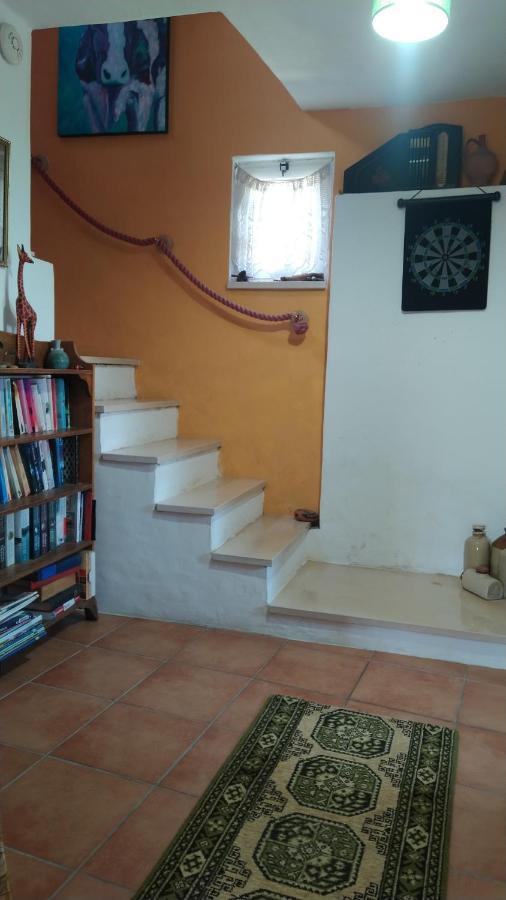 Casa Da Casimira Βίλα Miranda do Corvo Εξωτερικό φωτογραφία