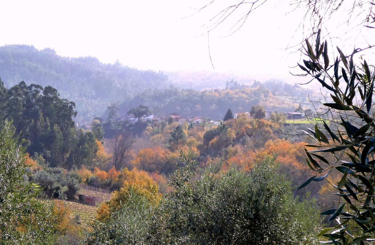 Casa Da Casimira Βίλα Miranda do Corvo Εξωτερικό φωτογραφία